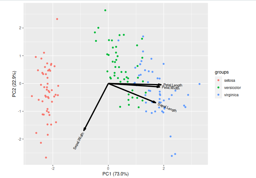 graph of the test regression data